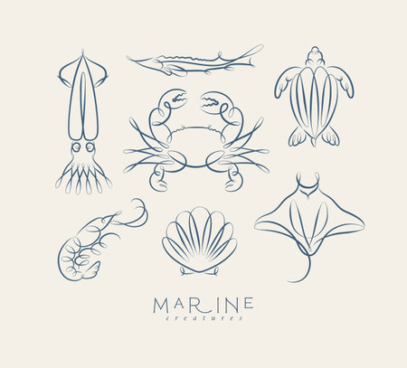 Filigree swirl sea and ocean creatures squid, fish, crab, turtle, shrimp, stingray, shell, scallop drawing on grey backgroundのイラスト素材