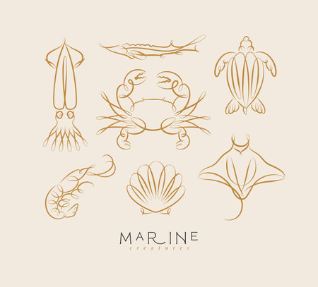 Filigree swirl sea and ocean creatures squid, fish, crab, turtle, shrimp, stingray, shell, scallop drawing on beige backgroundのイラスト素材