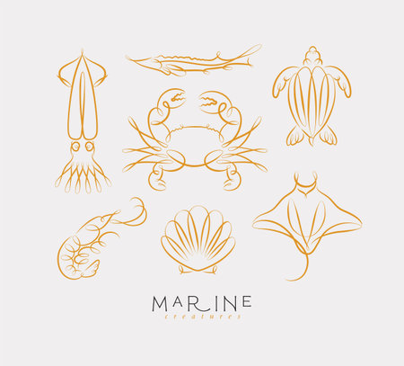 Filigree swirl sea and ocean creatures squid, fish, crab, turtle, shrimp, stingray, shell, scallop drawing on light backgroundのイラスト素材