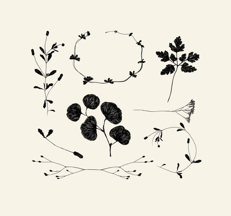 Branches and leaves silhouettes set drawing on beige backgroundのイラスト素材