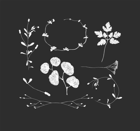 Branches and leaves silhouettes set drawing on black backgroundのイラスト素材