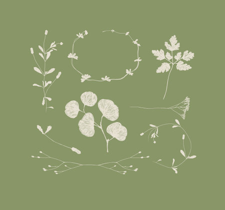 Branches and leaves silhouettes set drawing on green backgroundのイラスト素材