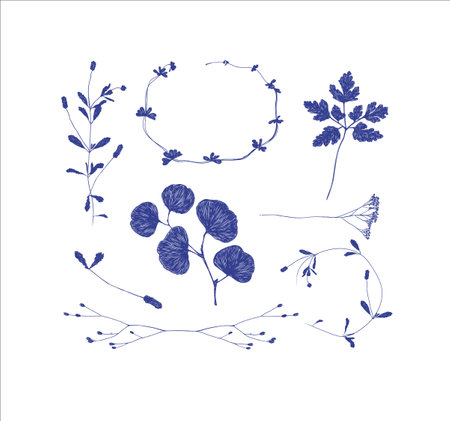 Branches and leaves silhouettes set drawing on white backgroundのイラスト素材