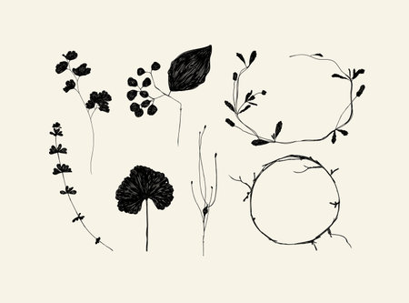 Leaves and branches silhouettes set drawing on beige backgroundのイラスト素材
