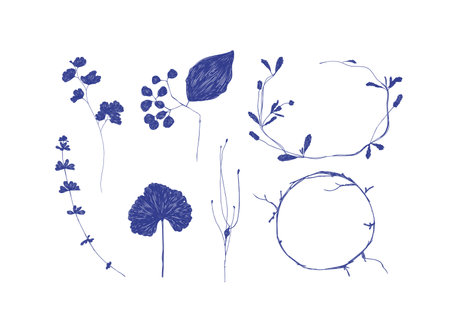 Leaves and branches silhouettes set drawing on white backgroundのイラスト素材
