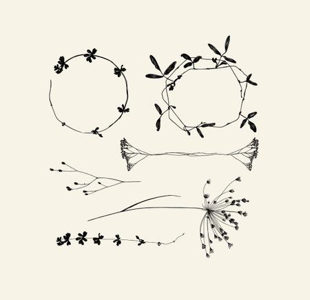 Branches leaves and flowers silhouettes set drawing on beige backgroundのイラスト素材