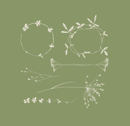 Branches leaves and flowers silhouettes set drawing on green backgroundのイラスト素材