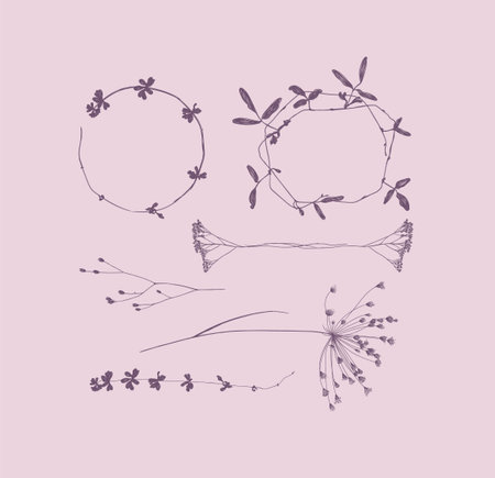 Branches leaves and flowers silhouettes set drawing on violet backgroundのイラスト素材
