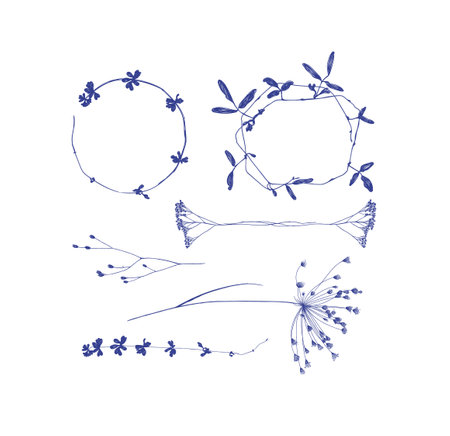 Branches leaves and flowers silhouettes set drawing on white backgroundのイラスト素材