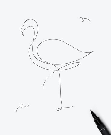 Flamingo drawing in minimalism pen line style on white backgroundのイラスト素材