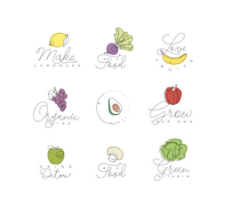 Label vegetables and fruits lemon, beet, banana, grapes, avocado, pepper, apple, champignons, cabbage with text drawing with color in linear style on white backgroundのイラスト素材