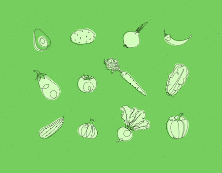 Vegetables icons avocado, potato, onion, chili, eggplant, tomato, carrot, lettuce, cucumber, garlic, beet, pepper drawing in linear style on green backgroundのイラスト素材
