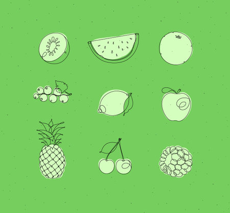 Fruits icons kiwi, watermelon, orange, currant, lemon, apple, pineapple, cherry raspberries drawing in linear style on green backgroundのイラスト素材