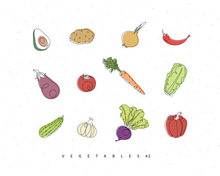 Vegetables icons avocado, potato, onion, chili, eggplant, tomato, carrot, lettuce, cucumber, garlic, beet pepper drawing with color in linear style on white backgroundのイラスト素材