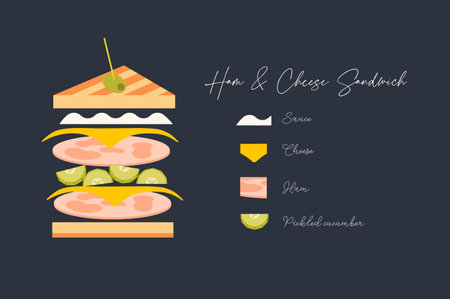 Sandwich ham and cheese with illustrated ingredients and inscriptions drawing in cute style on dark backgroundのイラスト素材