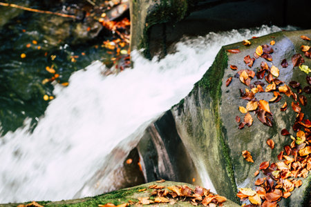 waterfall in the forest. top view. autumnの写真素材