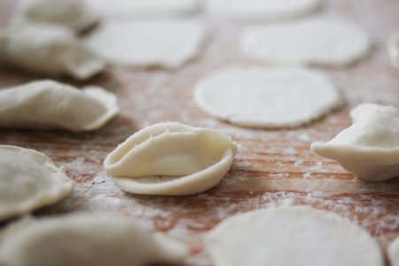 Ukraine. Slavic food. Ukrainian national dish. Dough. Flour.の写真素材