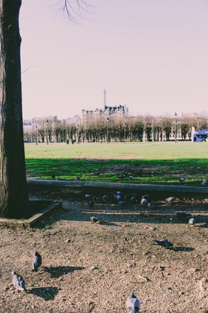 Park in Paris, France. Postcard of Parisの写真素材