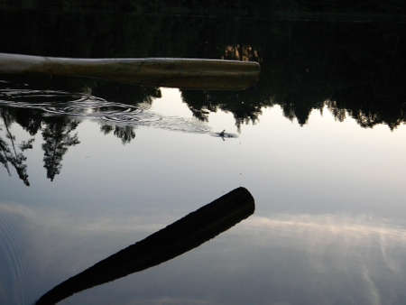 paddling in the lakeの写真素材
