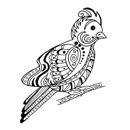 beautiful bird in the style of a sketchのイラスト素材