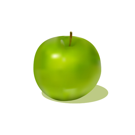 attractive green apple with shadowのイラスト素材