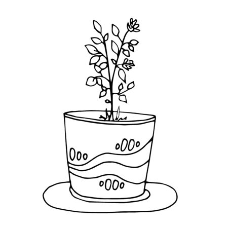 Flower pot. Coloring book vector illustrationのイラスト素材