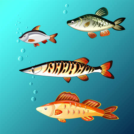 Set of beautiful fish. Aquarium. Sea life. Vector illustrationのイラスト素材