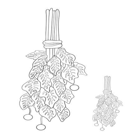 Two brooms for a bath. witch herb. Witchcraft. gift for health. isolated on a white background. vector illustrationのイラスト素材