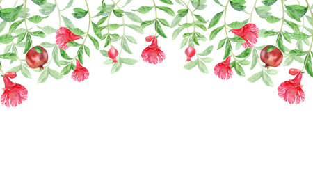 Rectangular Pomegranate Leaves, Flowers and Fruits Frame Watercolor Illustration Suitable for Invitations Design Prints Textiles Packagingの写真素材