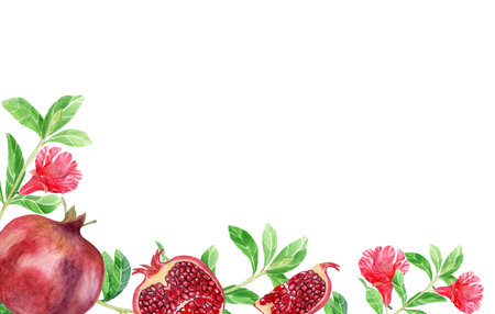 Rectangular Pomegranate Leaves and Fruits Frame Watercolor Illustration Suitable for Invitations Design Prints Textiles Packaging. High quality photoの写真素材