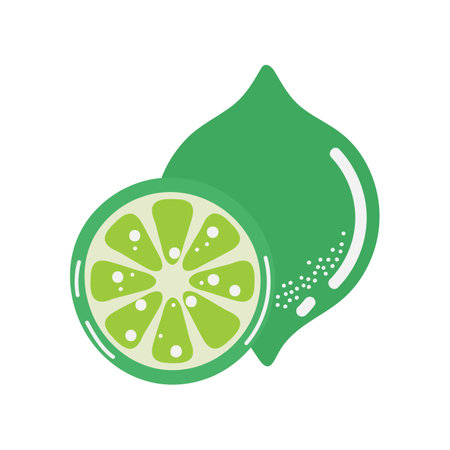 Lime isolated on white background. Vector illustration in flat style.のイラスト素材