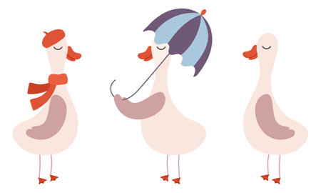 Vector illustration of a set of cute geese with umbrella and scarfのイラスト素材