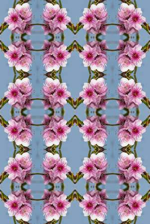 Seamless Pattern - this image can be composed like tiles endlessly without visible lines between...