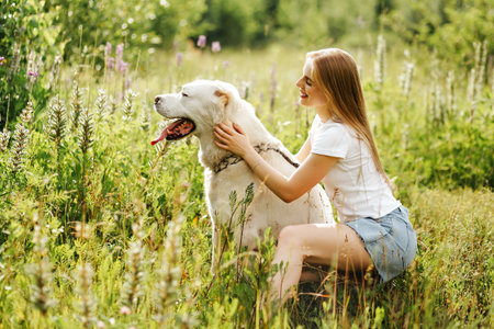Portrait woman and her best friend white dog in the park in summer. Alabai Central Asian Shepherd...