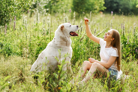 Portrait woman and her best friend white dog in the park in summer. Alabai Central Asian Shepherd...