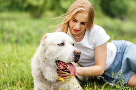 Portrait woman and her best friend white dog in the park in summer. Alabai Central Asian Shepherd...