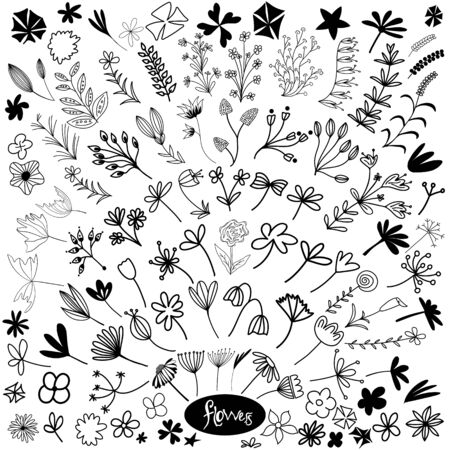Set of hand drawn doodle flowers, leaves and branches. Isolated on white background. Vector stock illustration.のイラスト素材