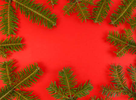 Christmas flat lay with fir tree branches frame on red background and copy space inside. Stock photo.の写真素材