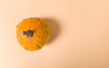 Pumpkin on a beige background. Simple flat lay with copy space.の写真素材