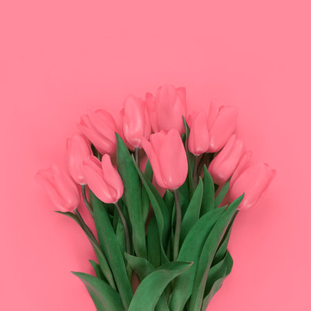 Bouquet of tulips on a pink background.の写真素材
