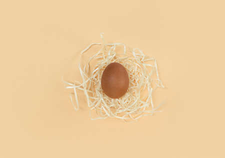 Brown egg in decorative nest on a beige backdrop.の写真素材