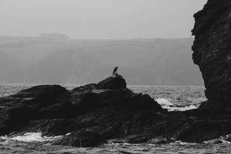 Carlyon Bay Storm