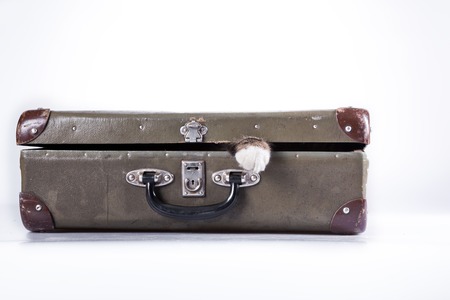 Cute tabby kitten more fluffy good catの写真素材