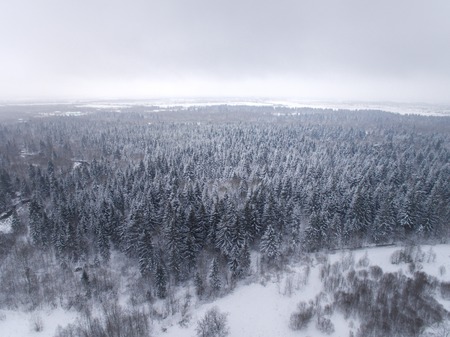 Winter background with a snow-covered forest with the captured drone. aerial photographyの写真素材