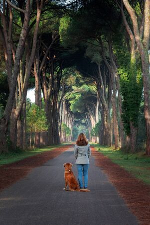 girl with a red dog walks in the park. A beautiful path in Italy. Nova Scotia Duck Tolling Retriever and his owner. travel with petの写真素材