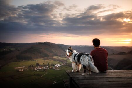 A man with a dog at sunset. walk with a pet. Australian Shepherd and owner in nature look at a beautiful viewの写真素材