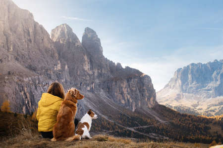 traveler with a two dogs in the autumn mountains. Nova Scotia Duck Tolling Retriever and Jack Russell Terrier with a woman. yellow leaves.の写真素材