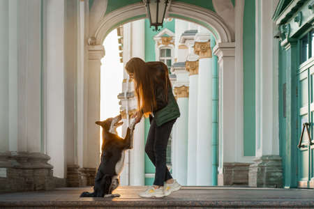 a girl and a dog on the background architecture St. Petersburg. Traveling with pet in the city