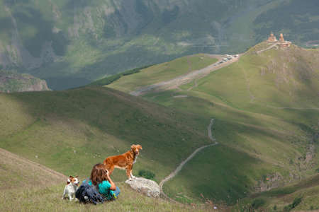 girl photographs dogs in the mountains. pet photographer in natureの写真素材
