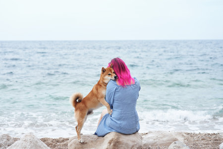 A Shiba Inu dog cozily nestles into a woman with striking pink hairの写真素材